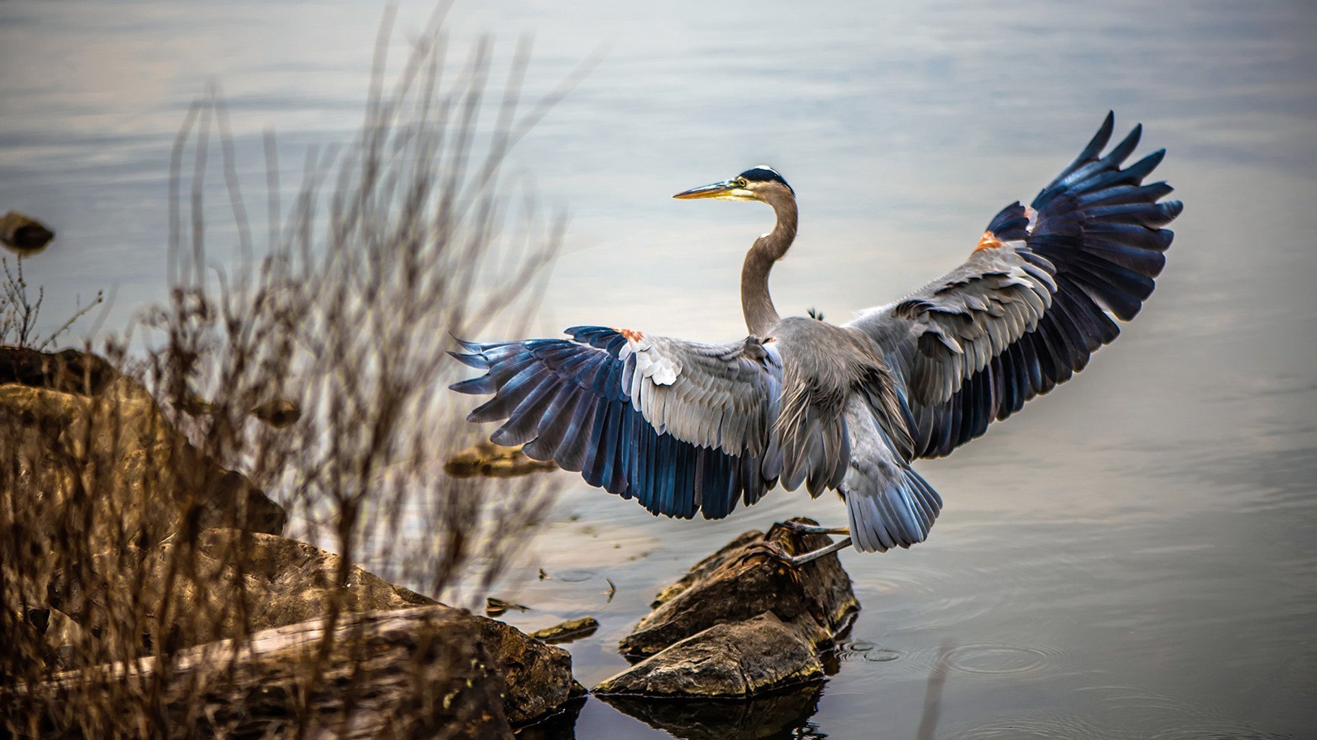 中超联赛国家队战胜 球迷高唱国歌助威，国家队参加中超