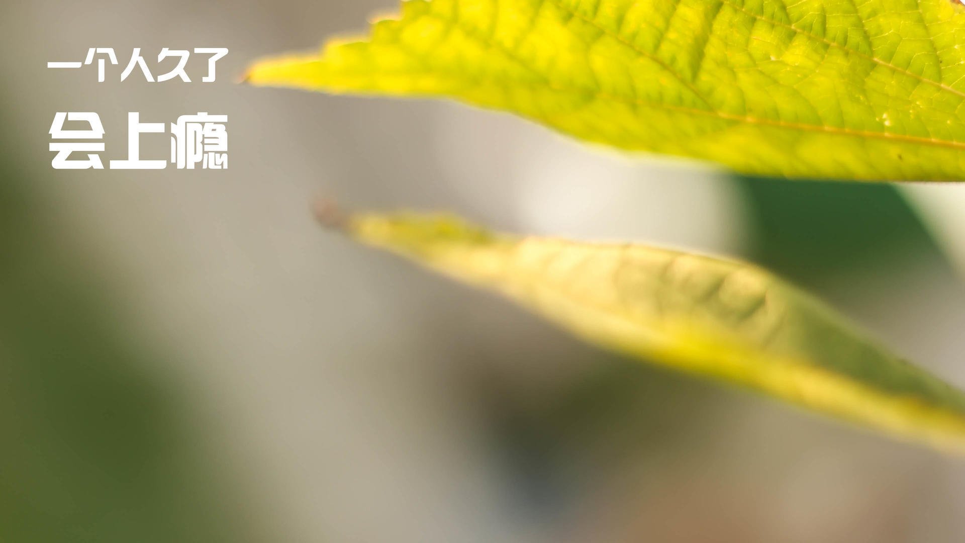 压迫后横传断球转为中路直插