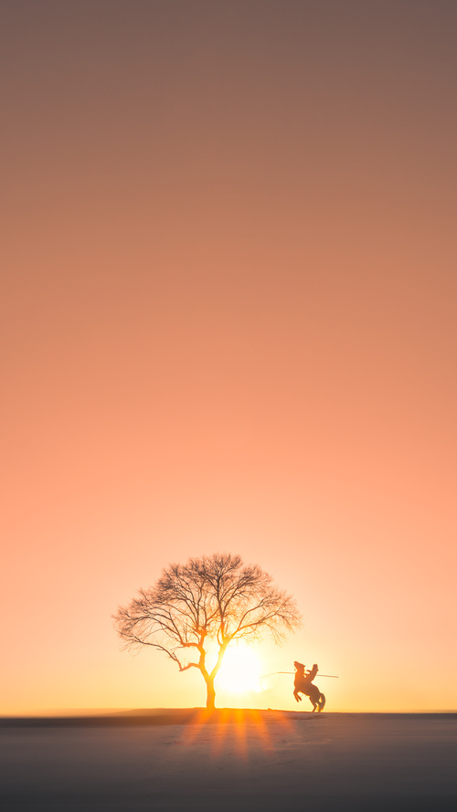 开云体育平台-跨界合作打造篮球与娱乐融合新IP，跨界篮球中心