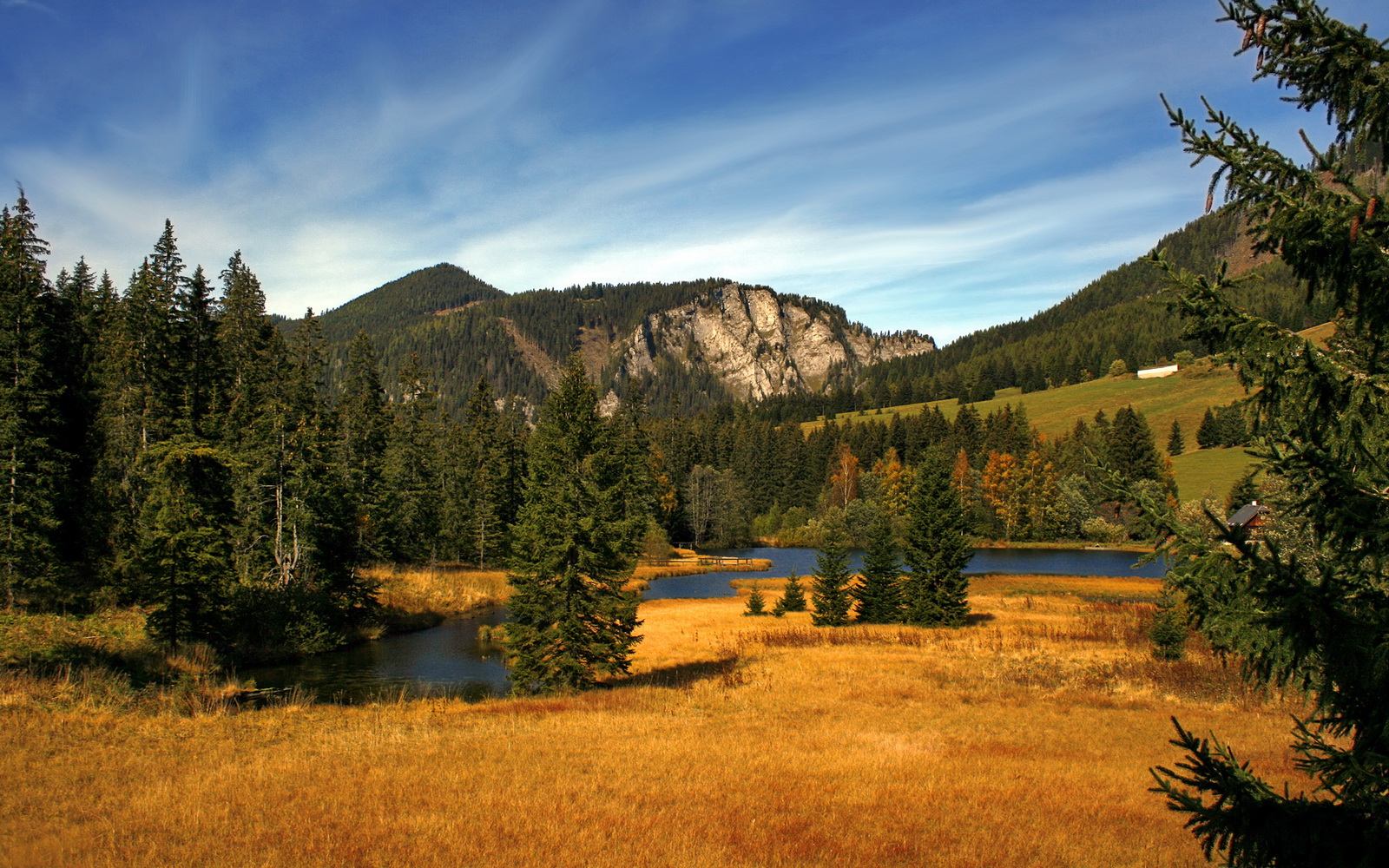 高节奏球队是否更易打出大比分领先,节奏大么