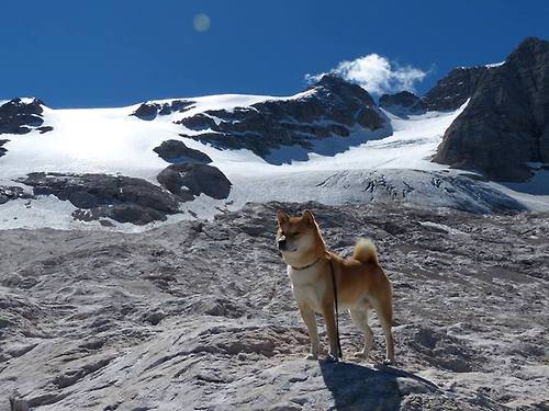 丁俊晖亲笔信致谢球迷支持多年,丁俊晖赛后采访