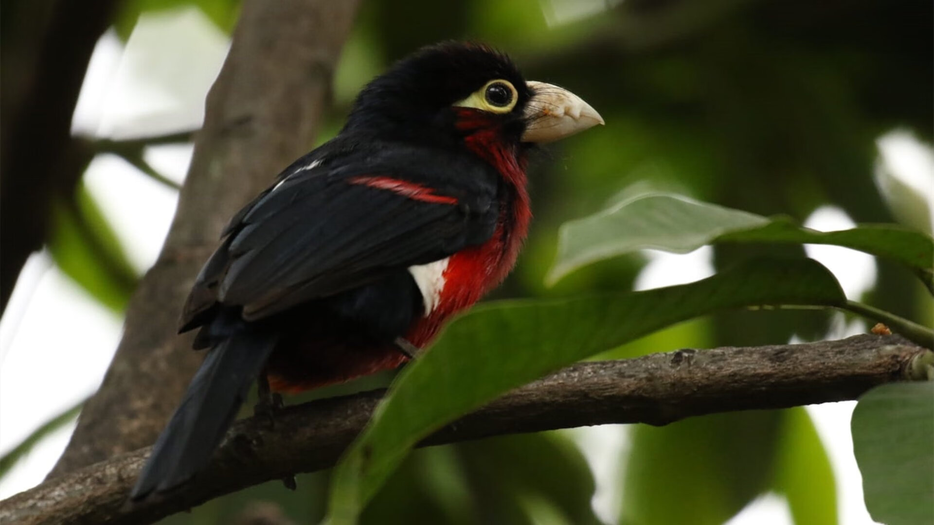 开云体育app官网-世界杯荣耀永存：经典瞬间，激励千秋！，世界杯荣誉高吗