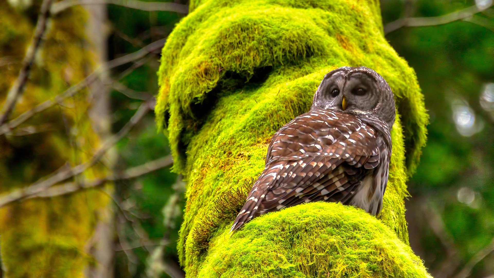 中甲联赛更新赛后分析系统加强数据指导作用，中甲新赛季