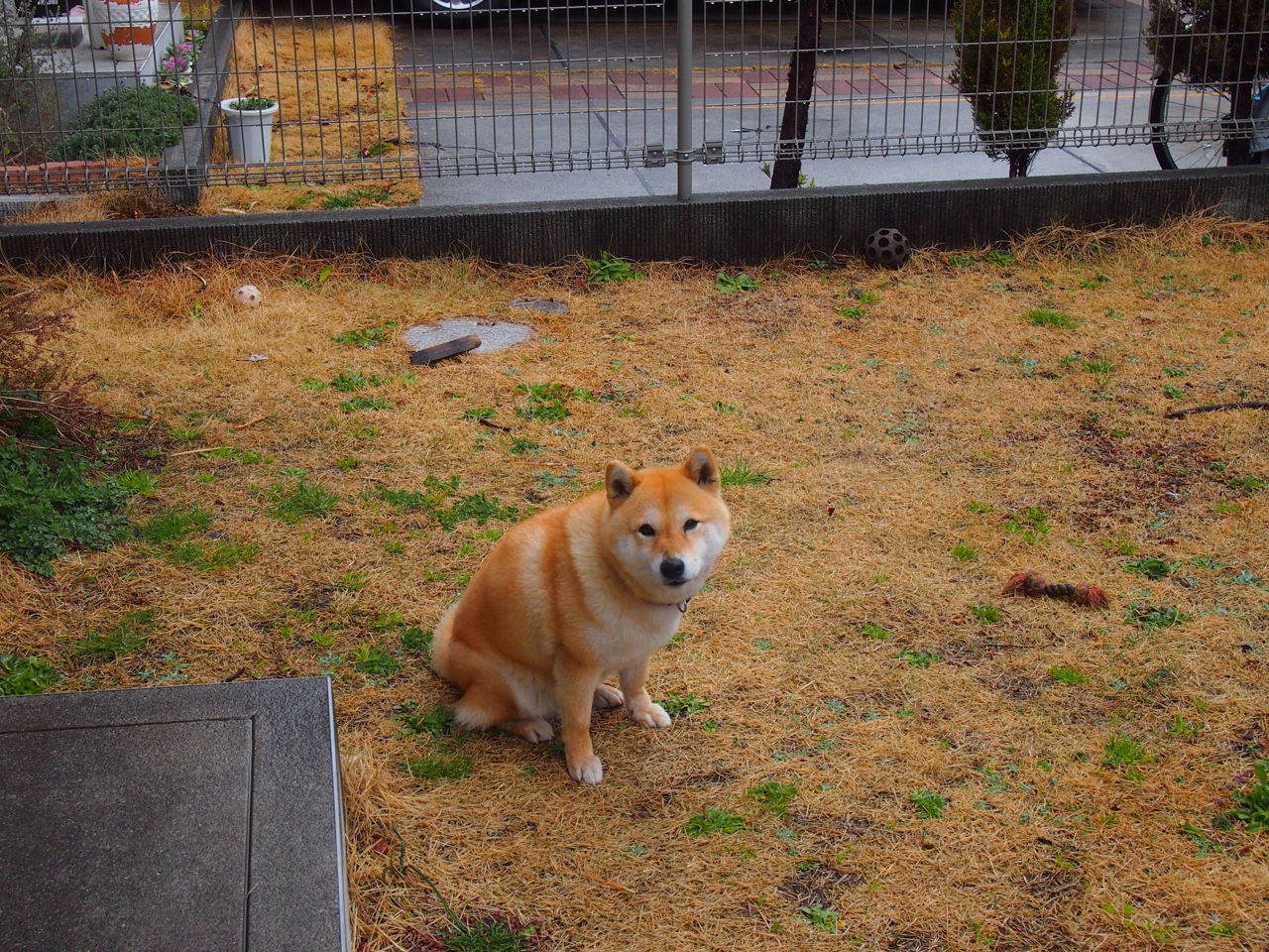 乔治反跑接球空切完成暴扣，乔治扣篮