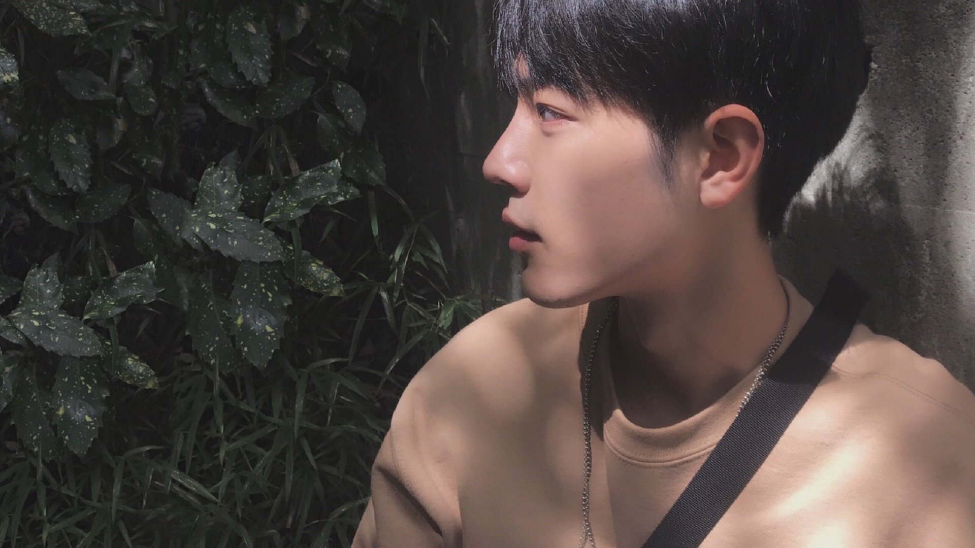 开云体育登录-凯蒂·莱德基耐力与速度完美结合，莱德基实力