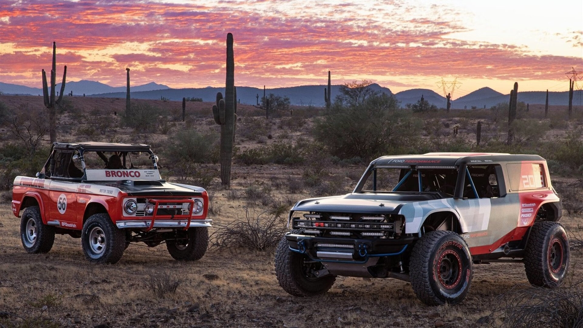 开云体育在线-字母哥关键时刻两罚全中雄鹿力克尼克斯，字母哥在雄鹿