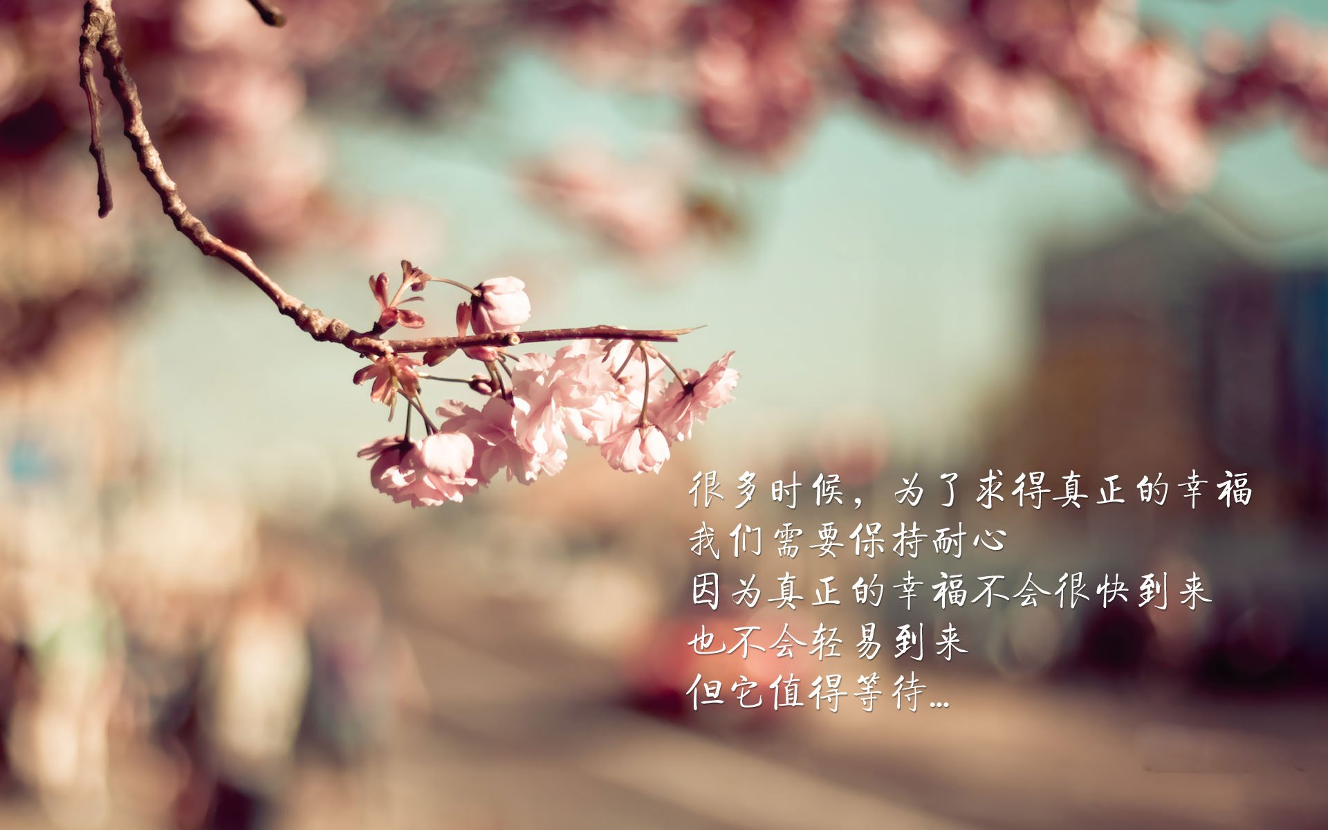 开云体育在线-平台上线赛季全纪录球员成长轨迹一目了然激励更多年轻选手，过往赛季球员