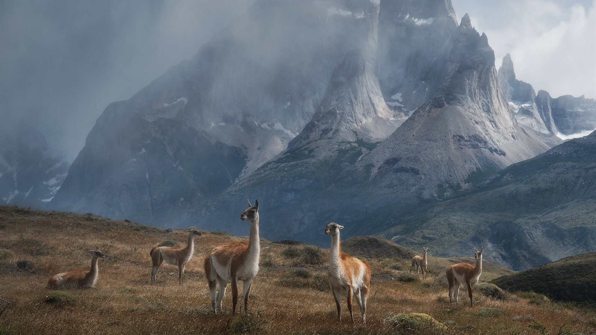 开云体育在线官网-意甲快速反击：瞬间突破，赢得满堂彩！，意甲对阵