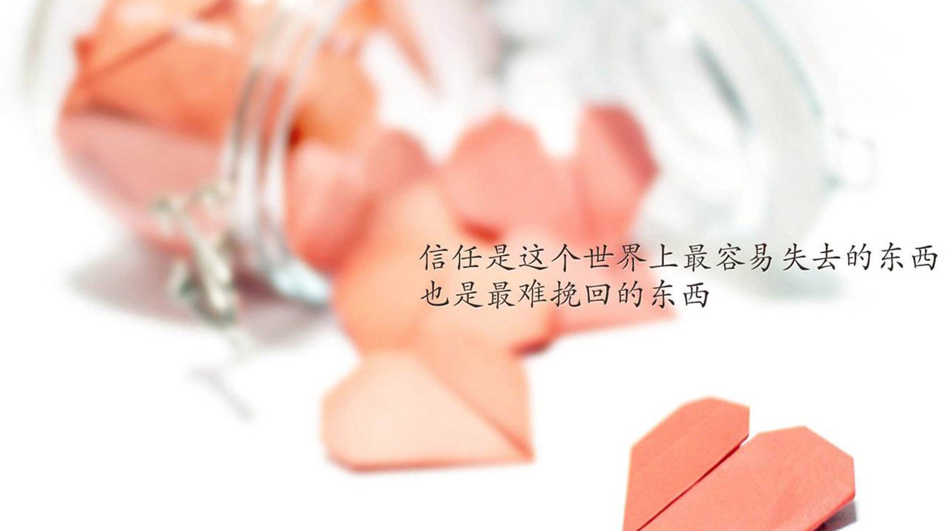 拉丁美洲篮球联赛中,阿根廷队一路高歌猛进,期待冲击奥运舞台