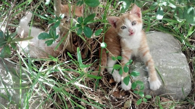 新闻中心发布国际射击联合会赛事直播转播声明,国际射击联合会射击比赛规则