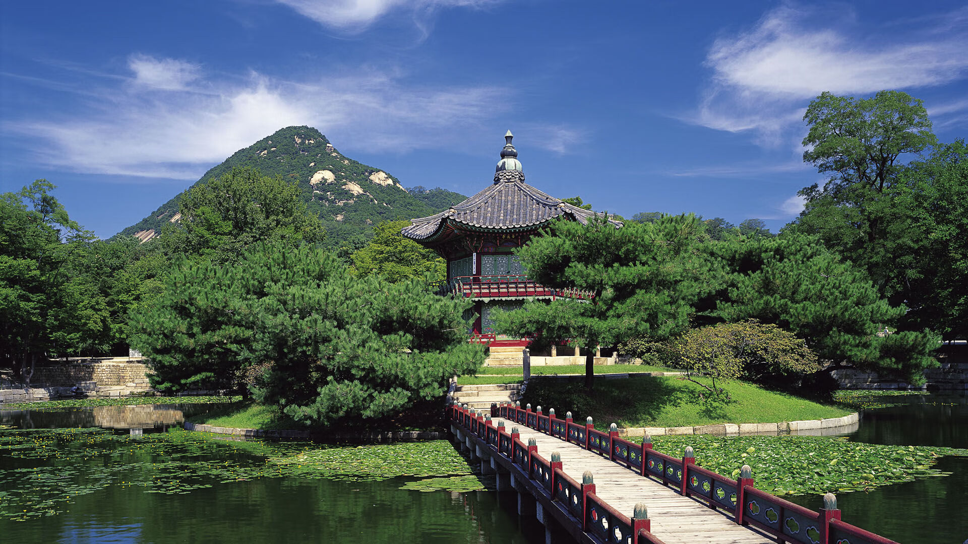 足球行业数字经济快速发展，各类创新项目不断涌现，足球产业发展