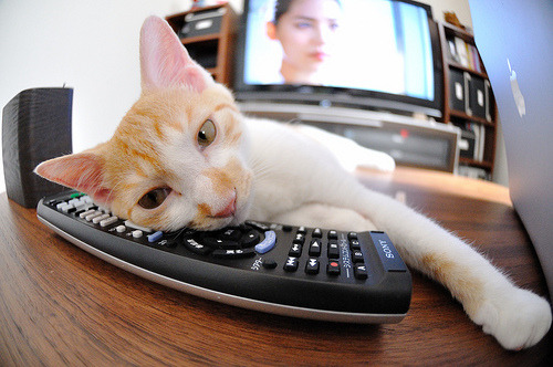 开云体育平台-阿根廷男篮在国际大赛中奋勇拼搏，为国家争光